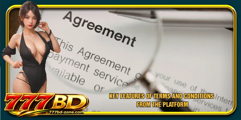 Key features of Terms and Conditions from the platform